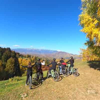 Experiente 17